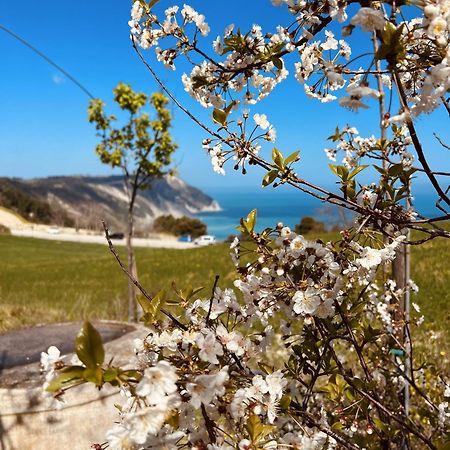 Agriturismo Conero 安科纳 外观 照片