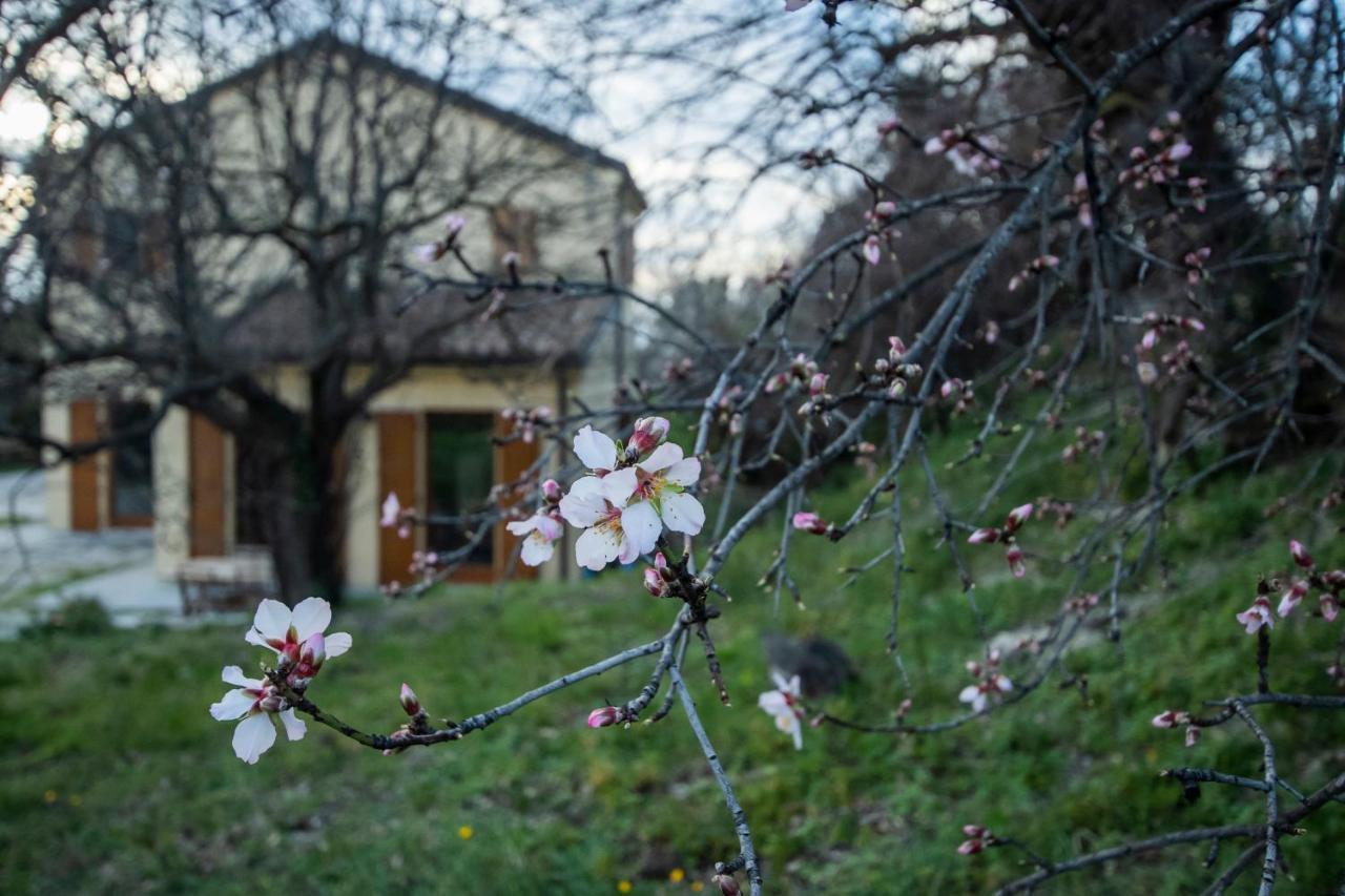 Agriturismo Conero 安科纳 外观 照片
