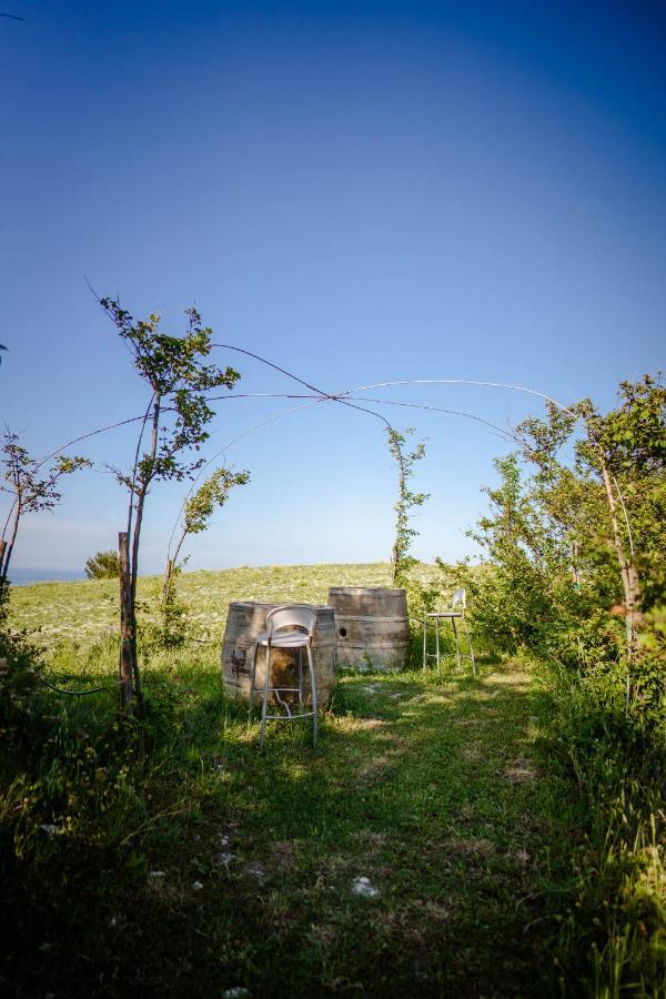 Agriturismo Conero 安科纳 外观 照片