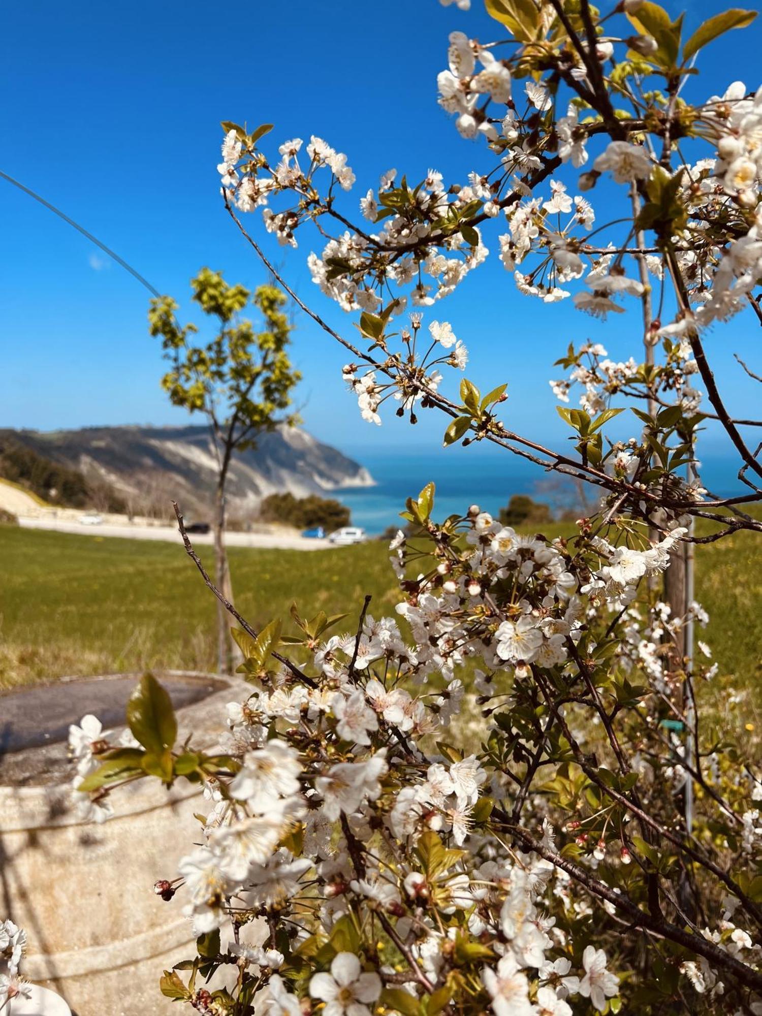Agriturismo Conero 安科纳 外观 照片